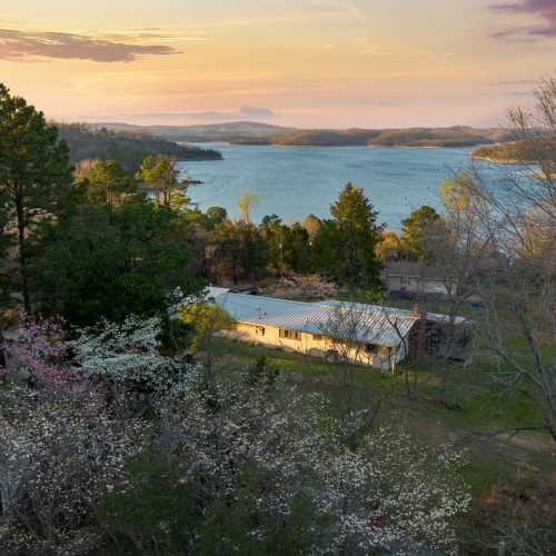 background view